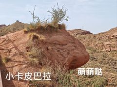 -新疆天山托木尔景区·大峡谷
