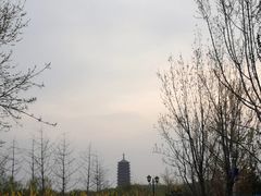 -永定河休闲森林公园