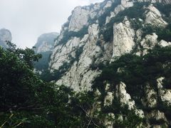 -嵩山少林文化旅游景区