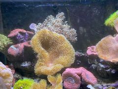 -嘉兴海底世界