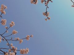 -西北湖绿化广场