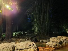 -三江森林温泉度假区