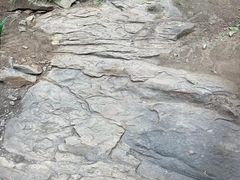 -中国第四纪冰川遗迹陈列馆