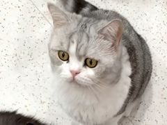 -佳雯宠物医院·皮肤科·内外科(春晓路分院)