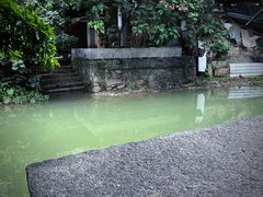 -小洲村
