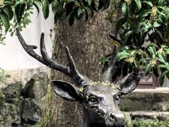 -楼外楼(西湖景区孤山路店)