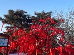 -泰山风景名胜区