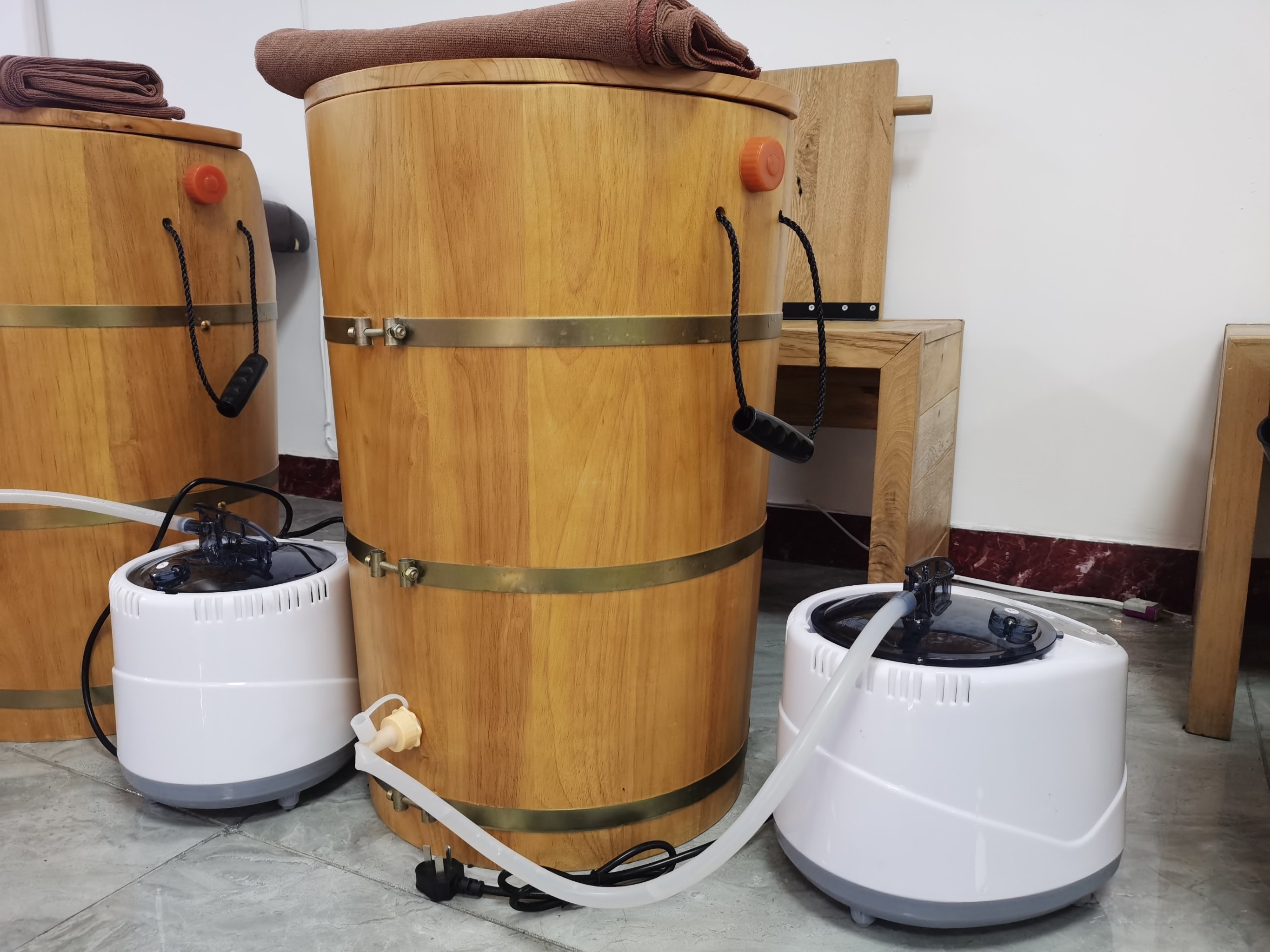 长春探店|好榕树是什么树?