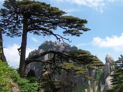 -黄山风景区