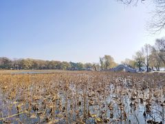 -长春市南湖公园