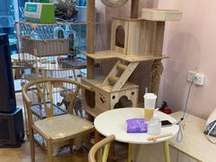 -猫咪派对(江南西店)