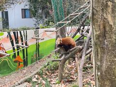 -杭州少年儿童公园