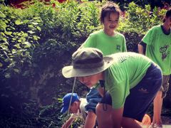 -素山寺森林公园