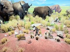 -陕西自然博物馆