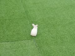 -万达广场(金堂店)