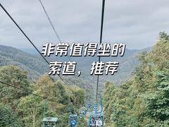 -野象谷景区