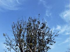 iphone_upload_pic-天目湖涵田度假村