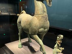 -广西壮族自治区博物馆