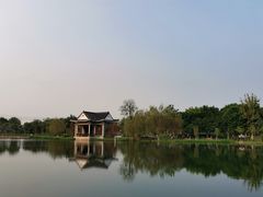 -映月湖公园
