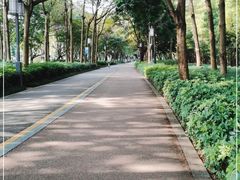 -顺峰山公园