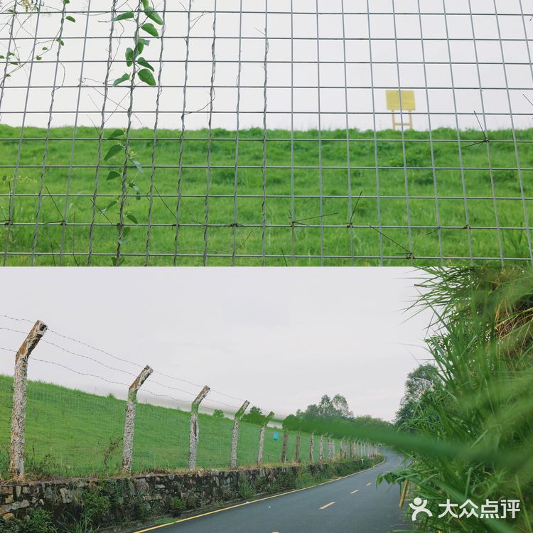 马峦北路.深圳又一条小众的日系片公路！