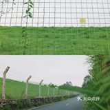 马峦北路.深圳又一条小众的日系片公路！