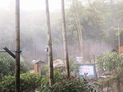 -江南天池高山汤泉城