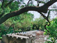 -广州莲花山旅游区