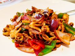 爆炒鱿鱼-宝燕壹号(徐汇店)