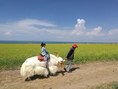 -青海湖国家重点风景名胜区