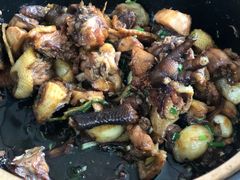 -柴火农家饭(遇龙河店)