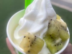 -Salud撒露欧洲冻酸奶(蓝色港湾店)