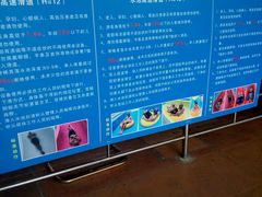 -黄金海岸水上乐园