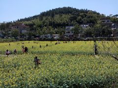 -红山村