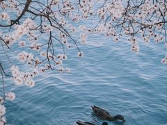 -颐和园