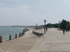 -日照灯塔风景区