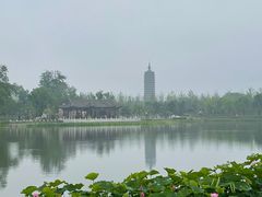 -西海子公园