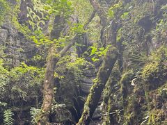 -梭布垭石林景区