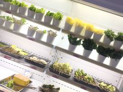 -卤教授老火锅