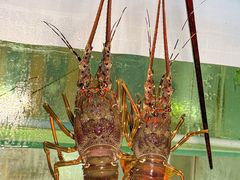 -碗中海·蒸汽海鲜·桑拿鸡(岭南天地店)
