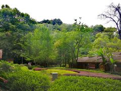 -阿哈湖国家湿地公园