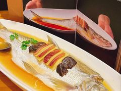 -乐忻皇朝(上海中心大厦店)