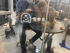 -宠物家(角门东店)