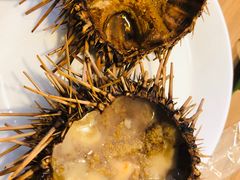 -海胆小馆(东北水饺·春柳店)