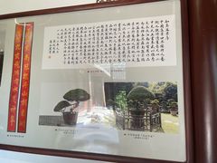 -水绘园