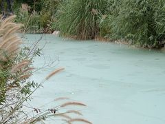 -上海吴淞炮台湾国家湿地公园