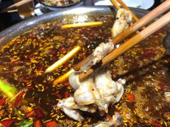 美蛙-费明中罗非鱼(大石坝店)