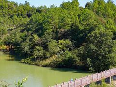 -广州白江湖森林公园