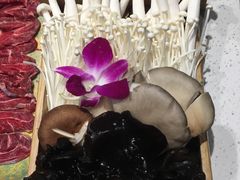 -牛村来人潮汕牛肉火锅(西单店)