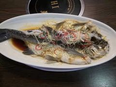 -醉美东江·三文鱼·烧鸡公